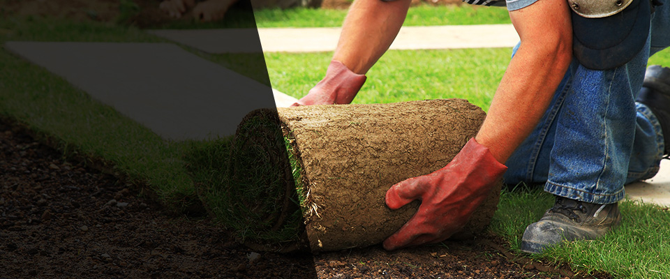 Canfield Landscapers